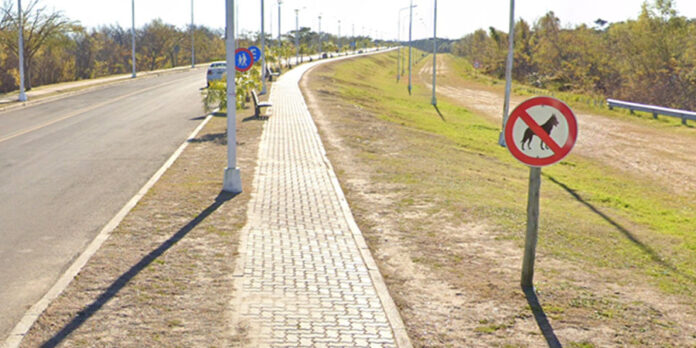isla , Lumière partielle réduite sur l’avenue Costanera de l’île du port | 03442
